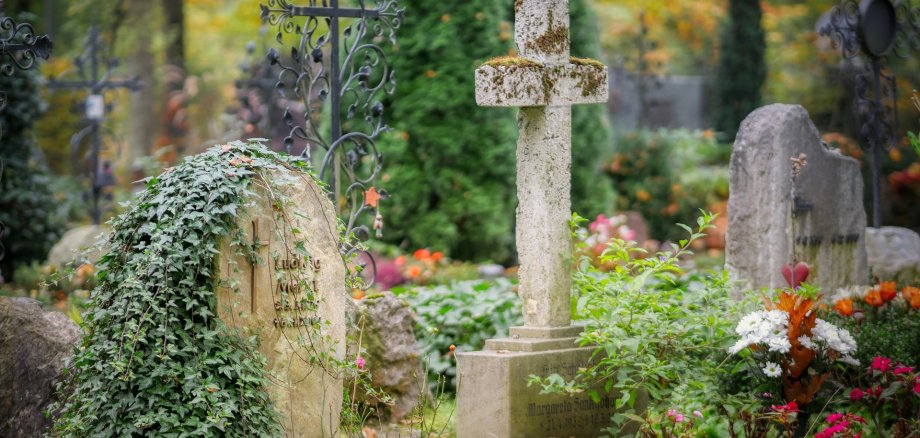 Ein Friedhof mit bewachsenen Grabsteinen